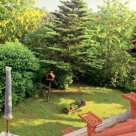 Ferienhaus Sequoia By Interhome Goslar