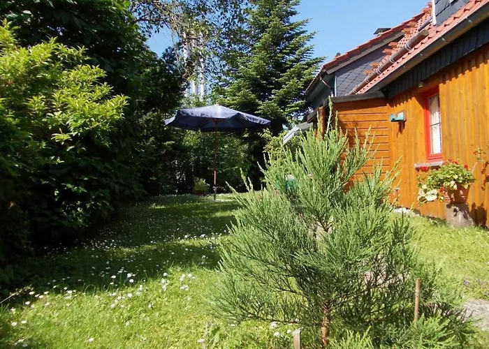 Sequoia By Interhome Holiday home Goslar