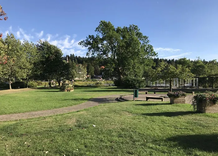 Sequoia By Interhome Holiday home Goslar